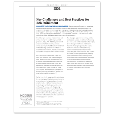 executive briefs b2b ibm